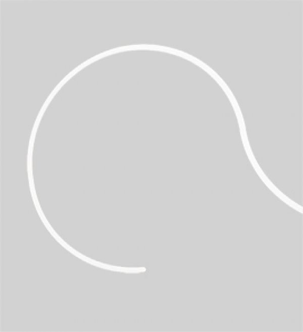 Ride Ring System