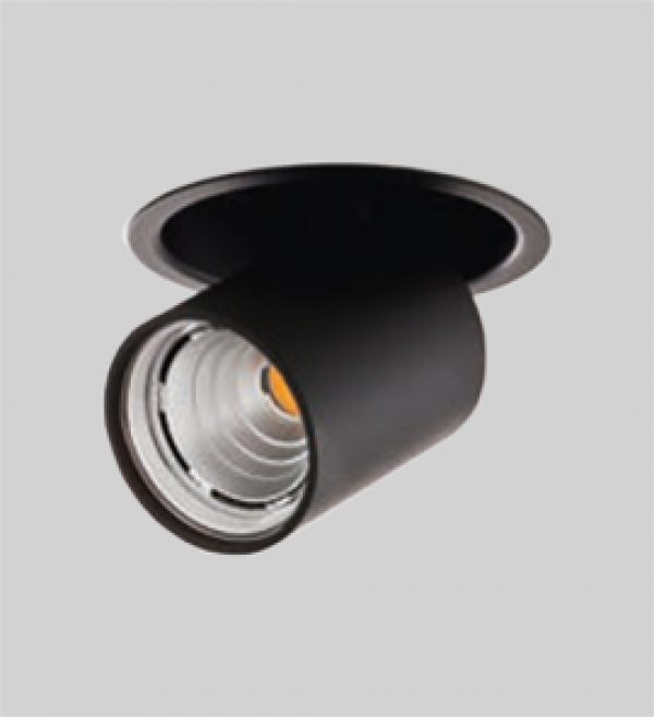 Pluriel Plus 1x Downlight