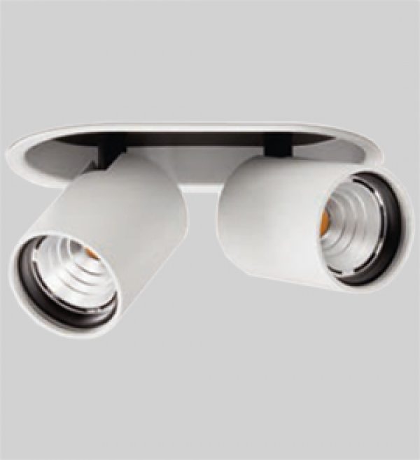 Pluriel Plus 2x Downlight