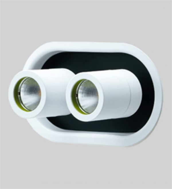 Pluriel Micro 2x Downlight