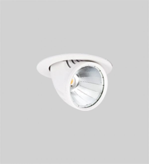 Zebra Mini LED