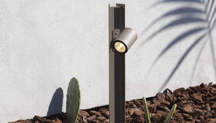 CACTUS Pole system + Wolf