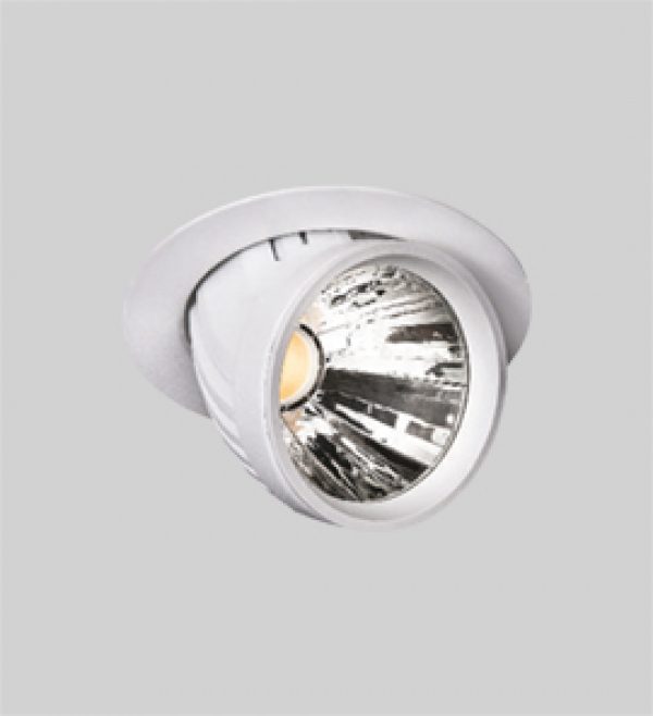 Zebra LED